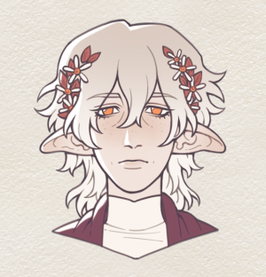 an Eladrin Elf, a teacher of Sylvan in The Vale